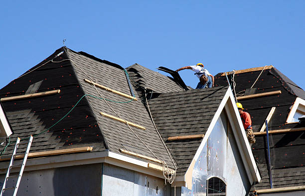 Best Roof Repair Specialists  in Genoa, OH