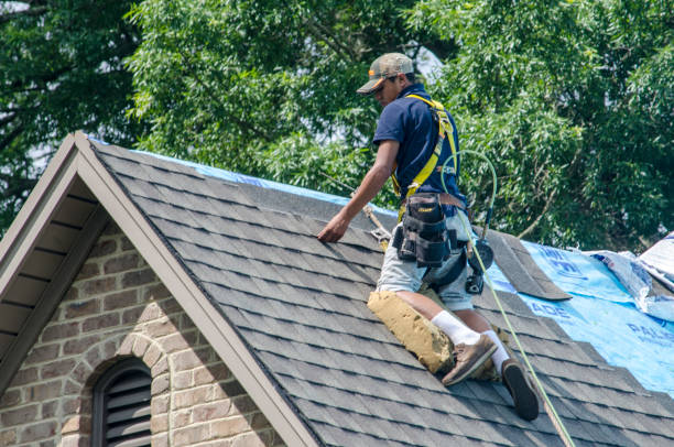 Best Roof Waterproofing Services  in Genoa, OH