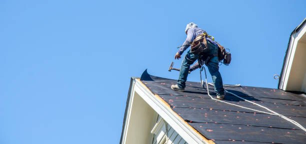 Best Roof Repair Services  in Genoa, OH